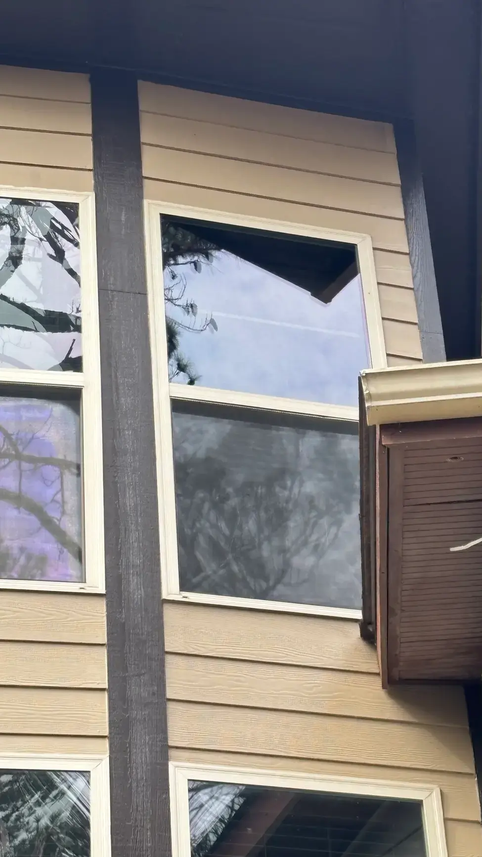 Image 3 low-e glass replacement